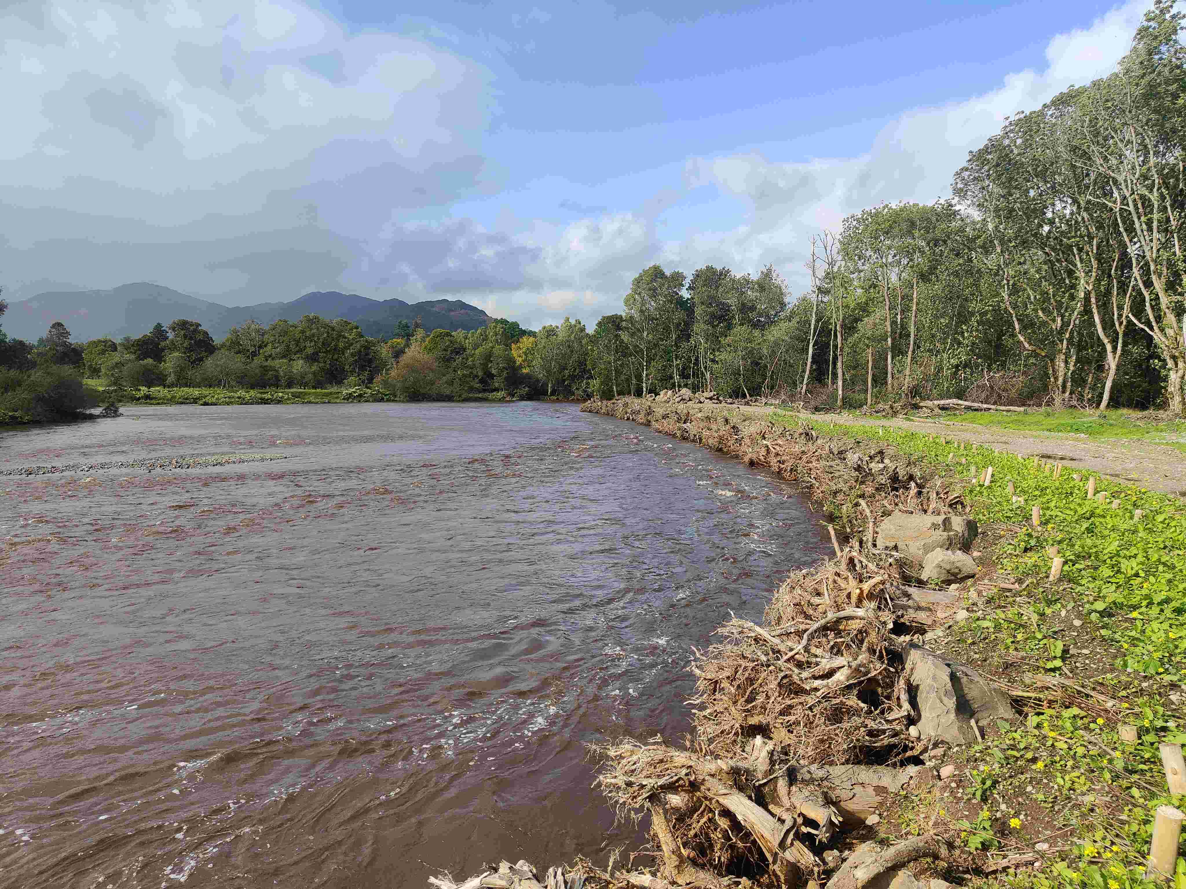Comrie Root Wad Flood Protection Project