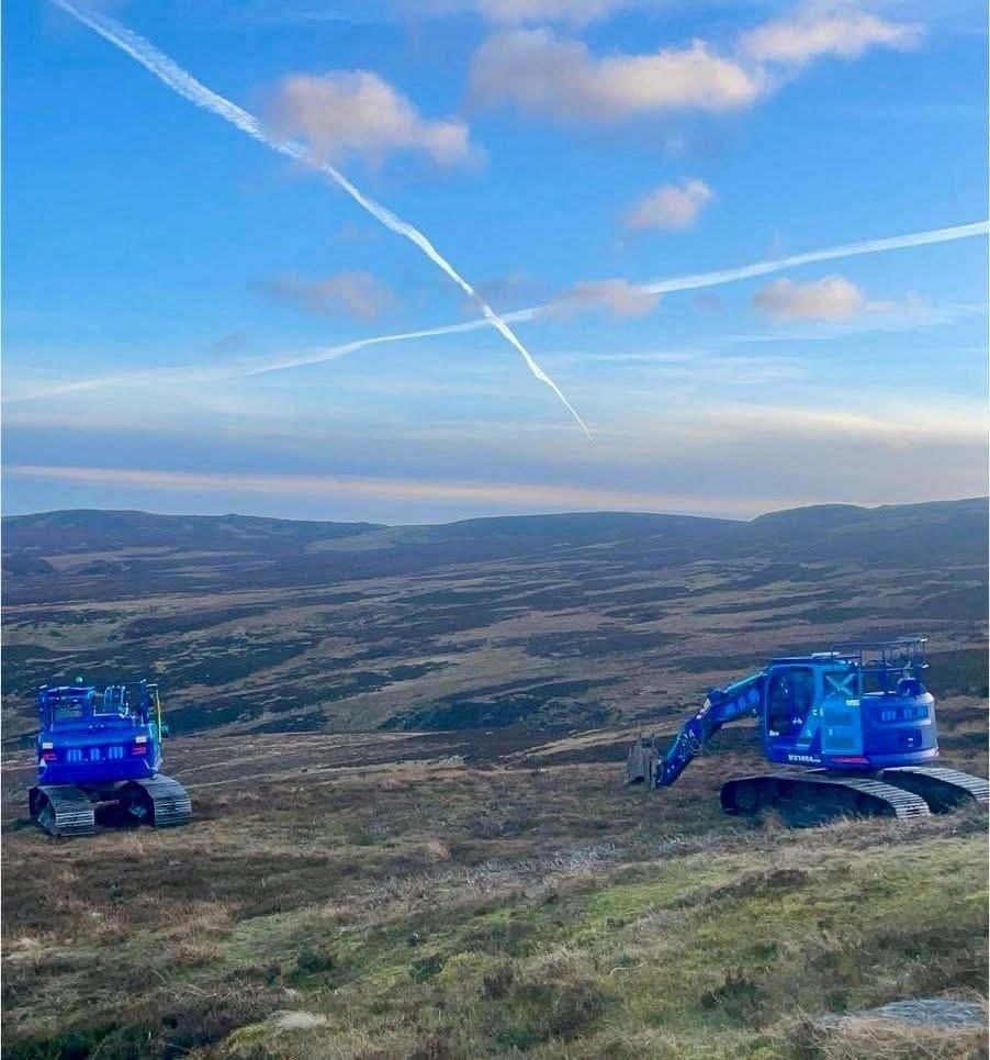 New Woodland Creation Project Takes Root in Central Scotland